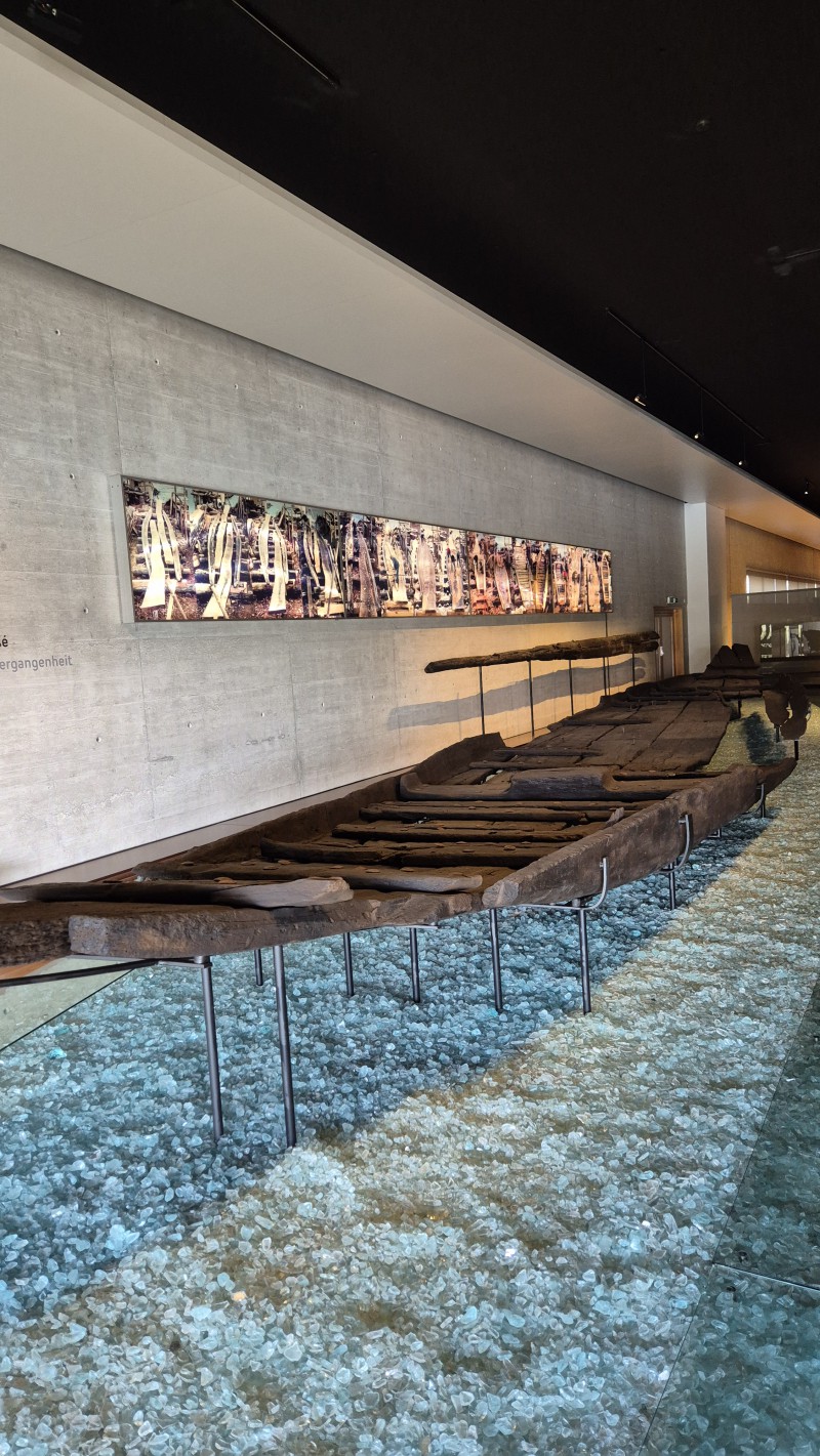 Galleries/20260925_112327-(1).jpg