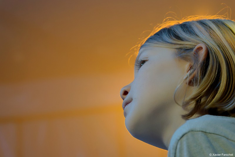 dsc01459-dxo-topaz-ai--sharpen-dxo